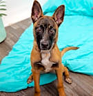 Photo of Celia