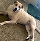 Photo of Lucy