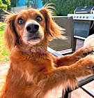 Photo of Lois
