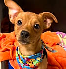 Photo of Braxton