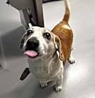 Photo of Bean