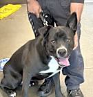 Photo of NOVA