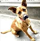 Photo of LICA