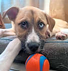 Photo of MILLIE