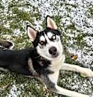 Photo of Colby