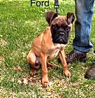 Photo of Ford