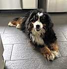 Photo of Mia