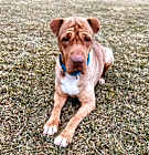 Photo of Molly