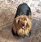 Photo of Tina
