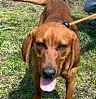 Photo of Paco