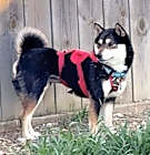 Photo of Amara