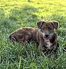 Photo of Shy