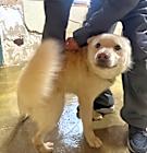 Photo of Deokgu
