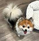 Photo of Vivian-PMRT