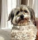 Photo of Chiquita