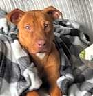 Photo of Lucy