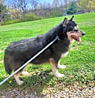 Photo of Heidi