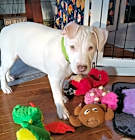 Photo of Oppe (Jewel's Gems)