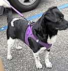 Photo of KOBE