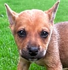 Photo of Kasey 