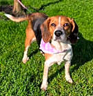 Photo of Marsha
