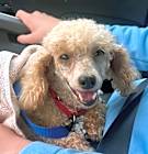 Photo of Libby