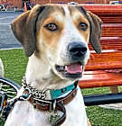 Photo of Dakota