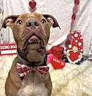 Photo of Jaxx