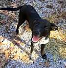 Photo of Buford