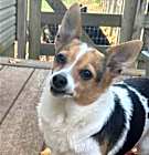 Photo of Sampson *FTA*