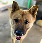 Photo of Duke