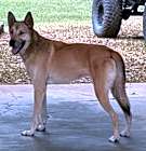 Photo of Diego