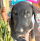 Photo of Samantha