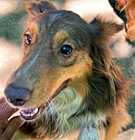 Photo of Murphy