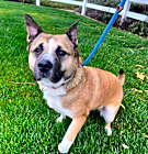 Photo of Jessie