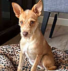 Photo of Lorenzo