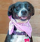 Photo of Layka