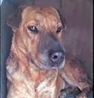 Photo of Tootsie