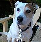 Photo of ALICE-Special Needs