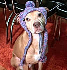 Photo of Skylar