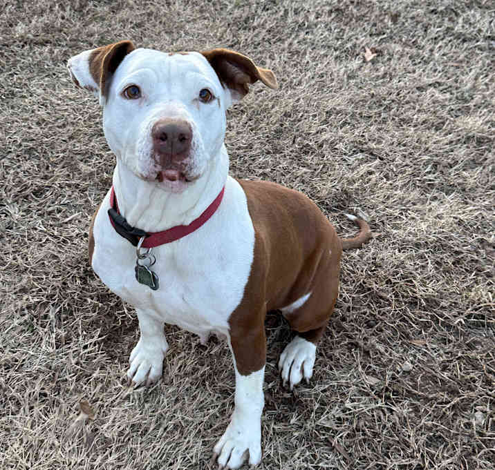Photo of Roxie