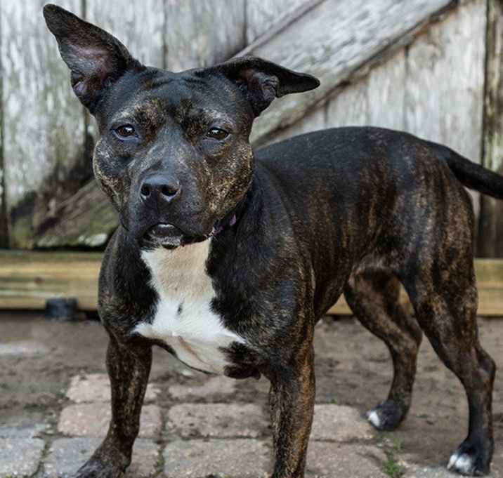 Photo of Ellie