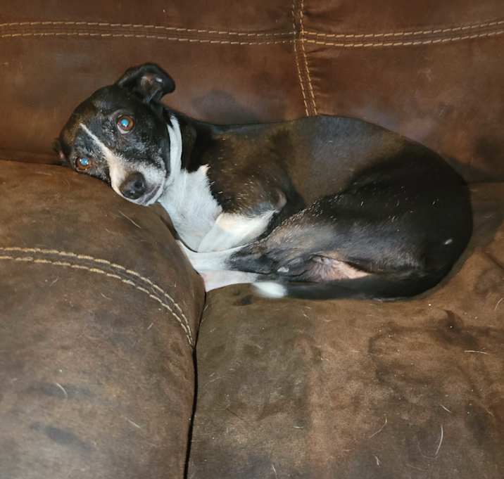 Photo of MILLIE