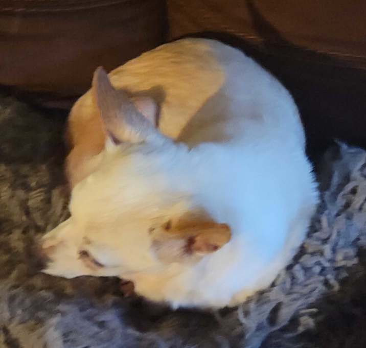 Photo of MISSY