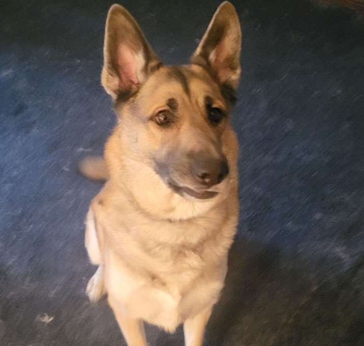 Photo of Zeus