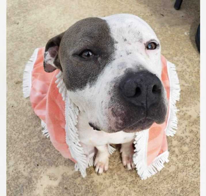 Photo of Roxie