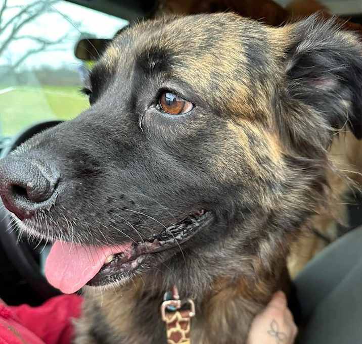 Photo of Xena