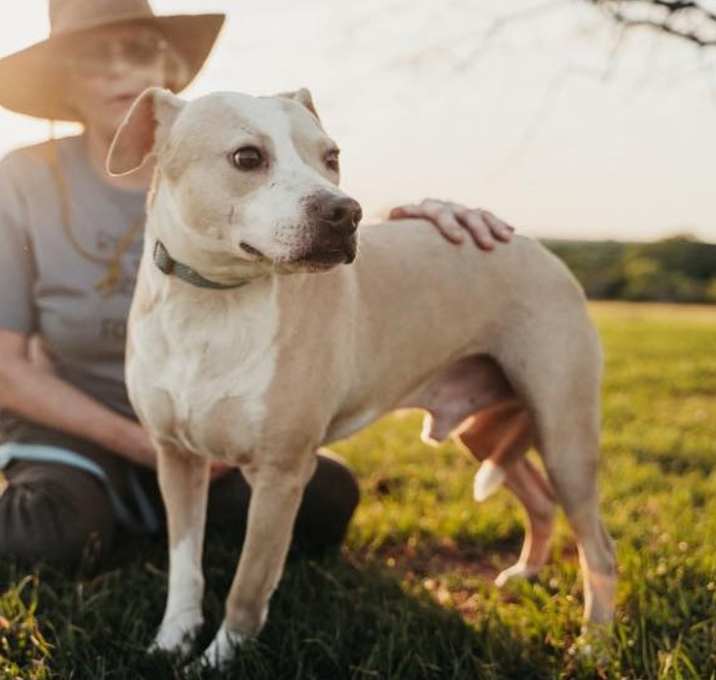 Photo of Koda