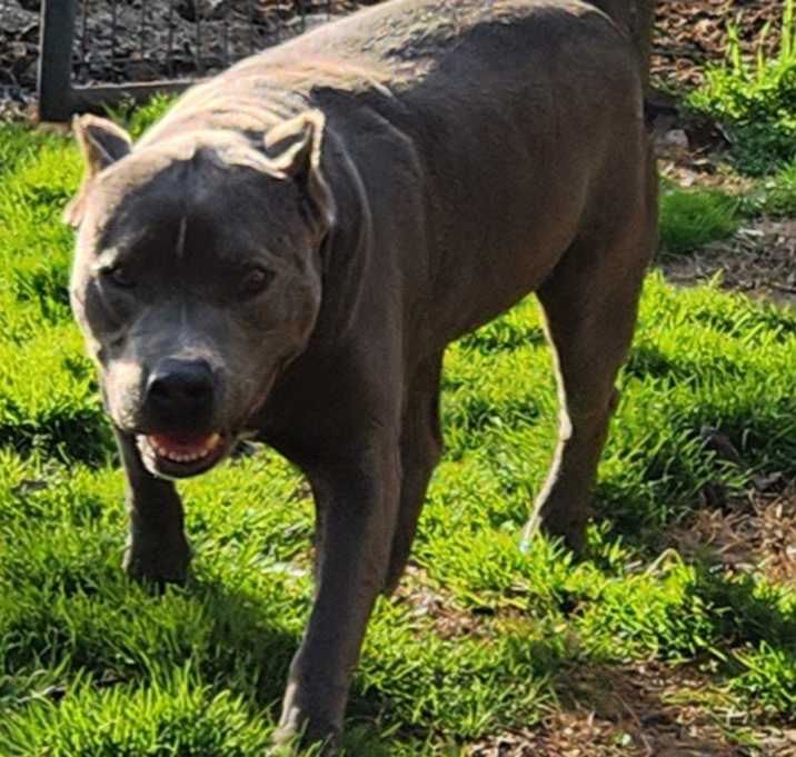 Photo of Drew