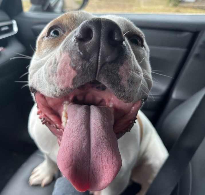 Photo of Doug